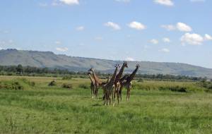 Fotoreise Kenia